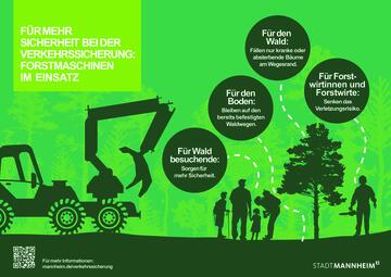 Vergrößerte Ansicht von diesem Bild