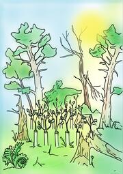 Vergrößerte Ansicht von diesem Bild