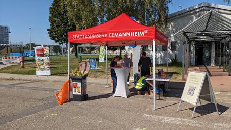 Vergrößerte Ansicht von diesem Bild