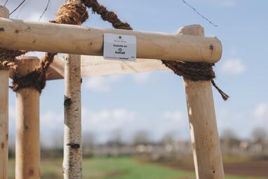 Vergrößerte Ansicht von Junger Baum mit Stütze aus drei Holzpflöcken. An der Stütze ist ein Metallschild mit kurzem Text angebracht.