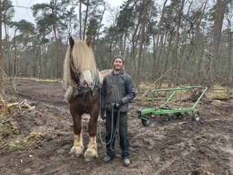 Vergrößerte Ansicht von diesem Bild