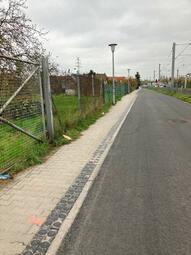 Vergrößerte Ansicht von diesem Bild