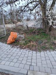 Vergrößerte Ansicht von Das Bild zeigt die selbe Grünfläche nach dem Aufräumen