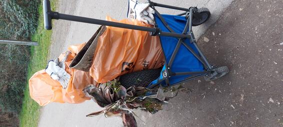 Vergrößerte Ansicht von Die Leichtathletik-Abteilung des SKV Sandhofen stellt sich der Cleanup-Challenge an der Riedspitze