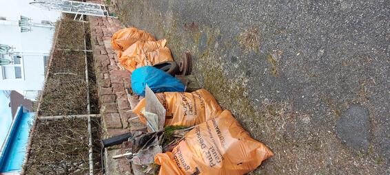 Vergrößerte Ansicht von Die Leichtathletik-Abteilung des SKV Sandhofen stellt sich der Cleanup-Challenge an der Riedspitze