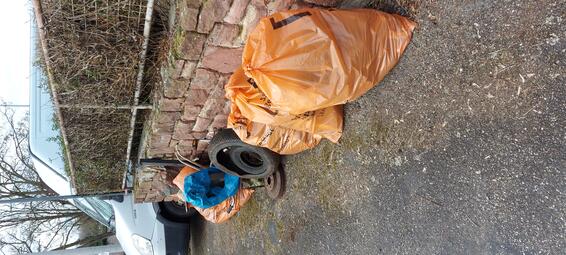 Vergrößerte Ansicht von Die Leichtathletik-Abteilung des SKV Sandhofen stellt sich der Cleanup-Challenge an der Riedspitze