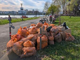 Vergrößerte Ansicht von Das Foto zeigt einige der gefüllten Abfallsäcke auf Mannheimer Seite