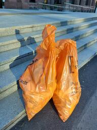 Vergrößerte Ansicht von diesem Bild