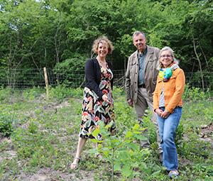 Vergrößerte Ansicht von diesem Bild