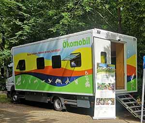 Vergrößerte Ansicht von diesem Bild