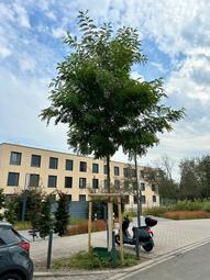 Vergrößerte Ansicht von diesem Bild