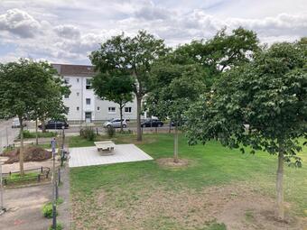 Vergrößerte Ansicht von diesem Bild