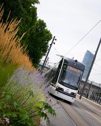 Vergrößerte Ansicht von Impression vom Bahnhofsvorplatz