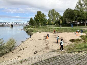 Vergrößerte Ansicht von Das Foto zeigt Teilnehmende, die das Mannheimer Rheinufer reinigen.