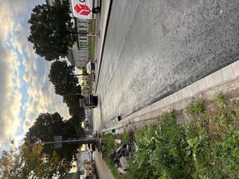 Vergrößerte Ansicht von diesem Bild