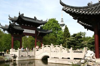 Vergrößerte Ansicht von diesem Bild