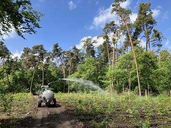 Vergrößerte Ansicht von diesem Bild