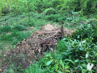 Vergrößerte Ansicht von diesem Bild