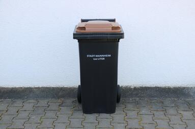 Vergrößerte Ansicht von diesem Bild