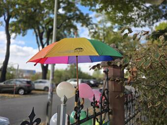 Vergrößerte Ansicht von diesem Bild