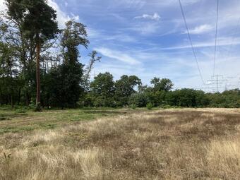 Vergrößerte Ansicht von diesem Bild