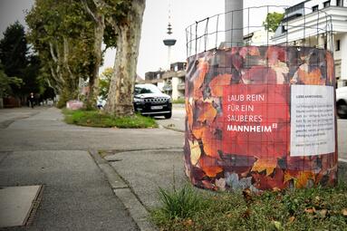 Vergrößerte Ansicht von Auf dem Foto ist ein Laubsammelkorb in der Straße "Am Oberen Luisenpark" zusehen. Ein Banner mit der Aufschrift "Laub rein für ein sauberes Mannheim" informiert darüber, was in den Korb darf und was nicht.
