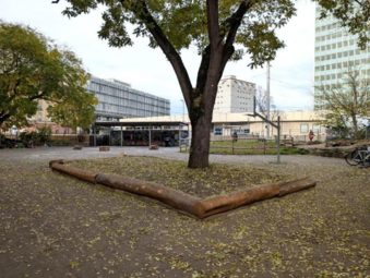 Vergrößerte Ansicht von diesem Bild