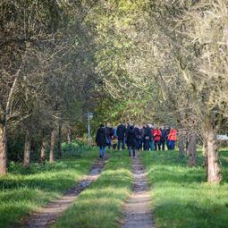 Vergrößerte Ansicht von diesem Bild