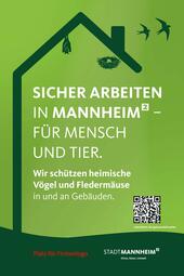 Vergrößerte Ansicht von diesem Bild