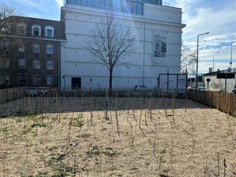 Vergrößerte Ansicht von diesem Bild