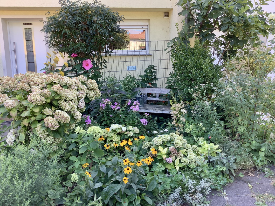 Blühender Vorgarten