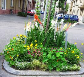Vergrößerte Ansicht von Ein Baum umringt mit einem Blumenbeet