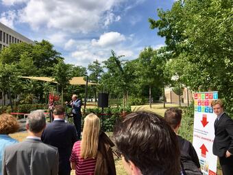 Vergrößerte Ansicht von diesem Bild