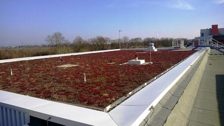 Vergrößerte Ansicht von diesem Bild