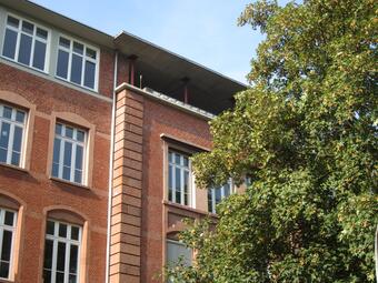 Vergrößerte Ansicht von diesem Bild