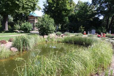 Vergrößerte Ansicht von diesem Bild