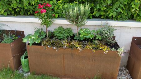 Vergrößerte Ansicht von diesem Bild