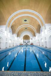 Vergrößerte Ansicht von diesem Bild