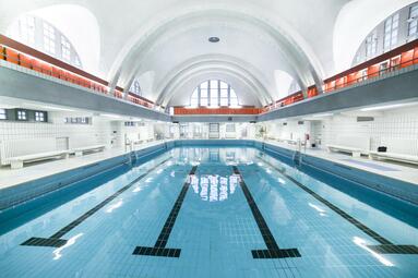 Vergrößerte Ansicht von diesem Bild