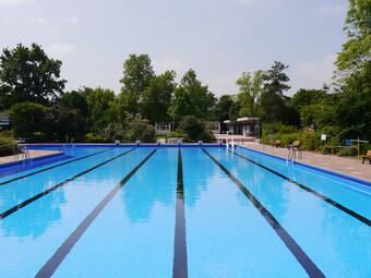 Vergrößerte Ansicht von diesem Bild