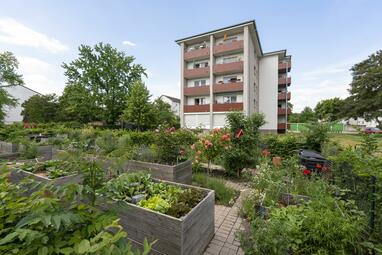 Vergrößerte Ansicht von Blick in einen Garten, im Hintergrund ein Wohnblock