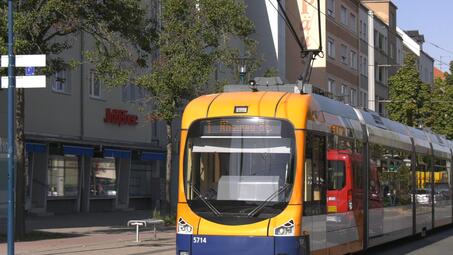 Vergrößerte Ansicht von diesem Bild