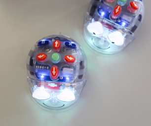 Vergrößerte Ansicht von diesem Bild