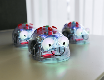 Vergrößerte Ansicht von diesem Bild