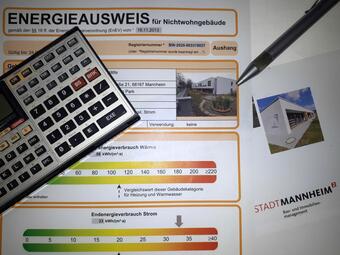 Vergrößerte Ansicht von diesem Bild