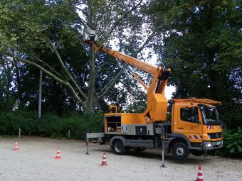 Vergrößerte Ansicht von Oranges Fahrzeug mit Hubsteiger vor großen Bäumen