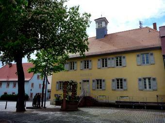 Vergrößerte Ansicht von diesem Bild