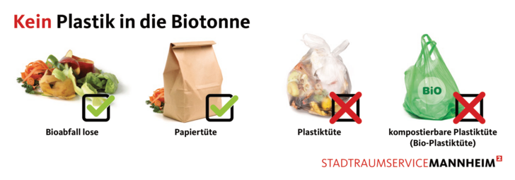 Vergrößerte Ansicht von diesem Bild