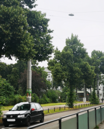 Vergrößerte Ansicht von diesem Bild