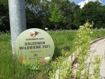 Vergrößerte Ansicht von Schild "Goldene Wildbiene 2021" lehnt an einen Mast auf einem Grünstreifen an der Herzogenriedstraße